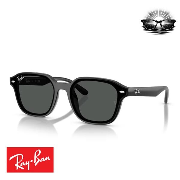 Ray-Ban RB601 601/87 Siyah Koyu Gri Güneş Gözlüğü