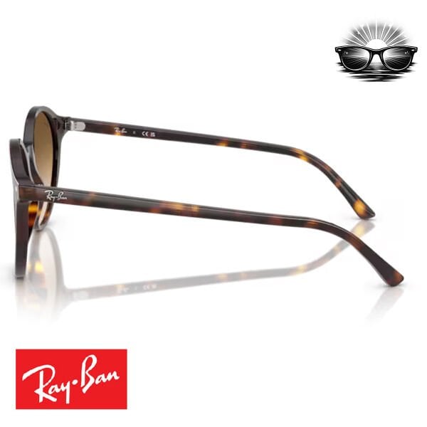 Ray-Ban RB2230 902/51 Havana Kahverengi Gradyan Güneş Gözlüğü