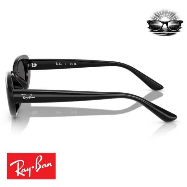 Ray-Ban RB4441D 667787 Siyah Koyu Gri Güneş Gözlüğü