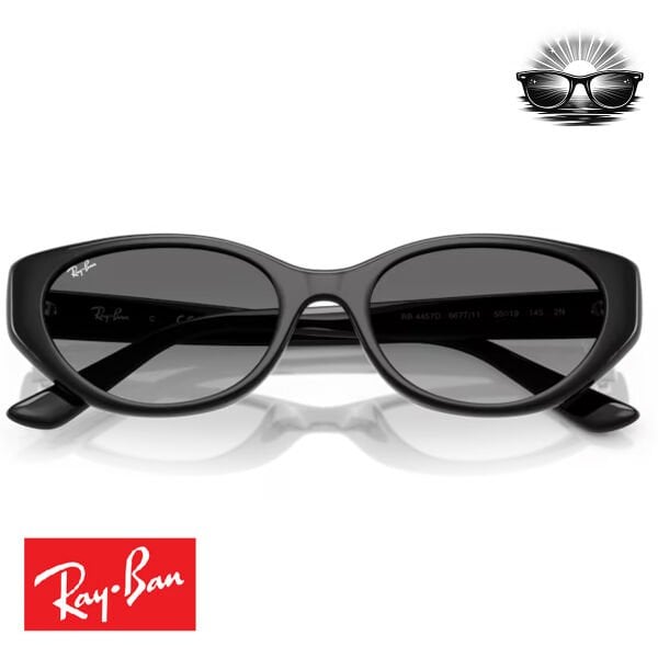 Ray-Ban RB4457D 667711 Siyah Gradient Güneş Gözlüğü