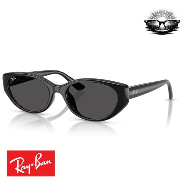 Ray-Ban RB4457D 667787 Siyah Koyu Gri Güneş Gözlüğü
