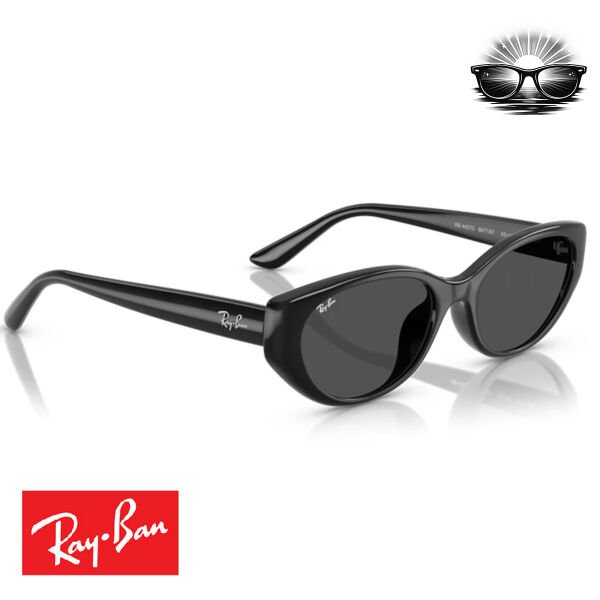 Ray-Ban RB4457D 667787 Siyah Koyu Gri Güneş Gözlüğü