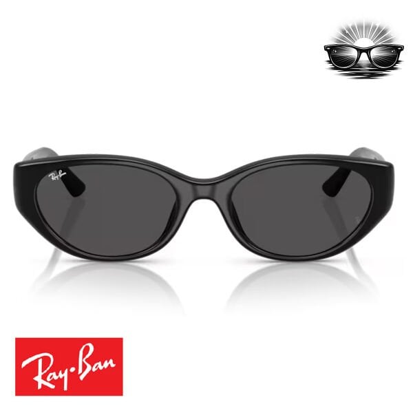 Ray-Ban RB4457D 667787 Siyah Koyu Gri Güneş Gözlüğü