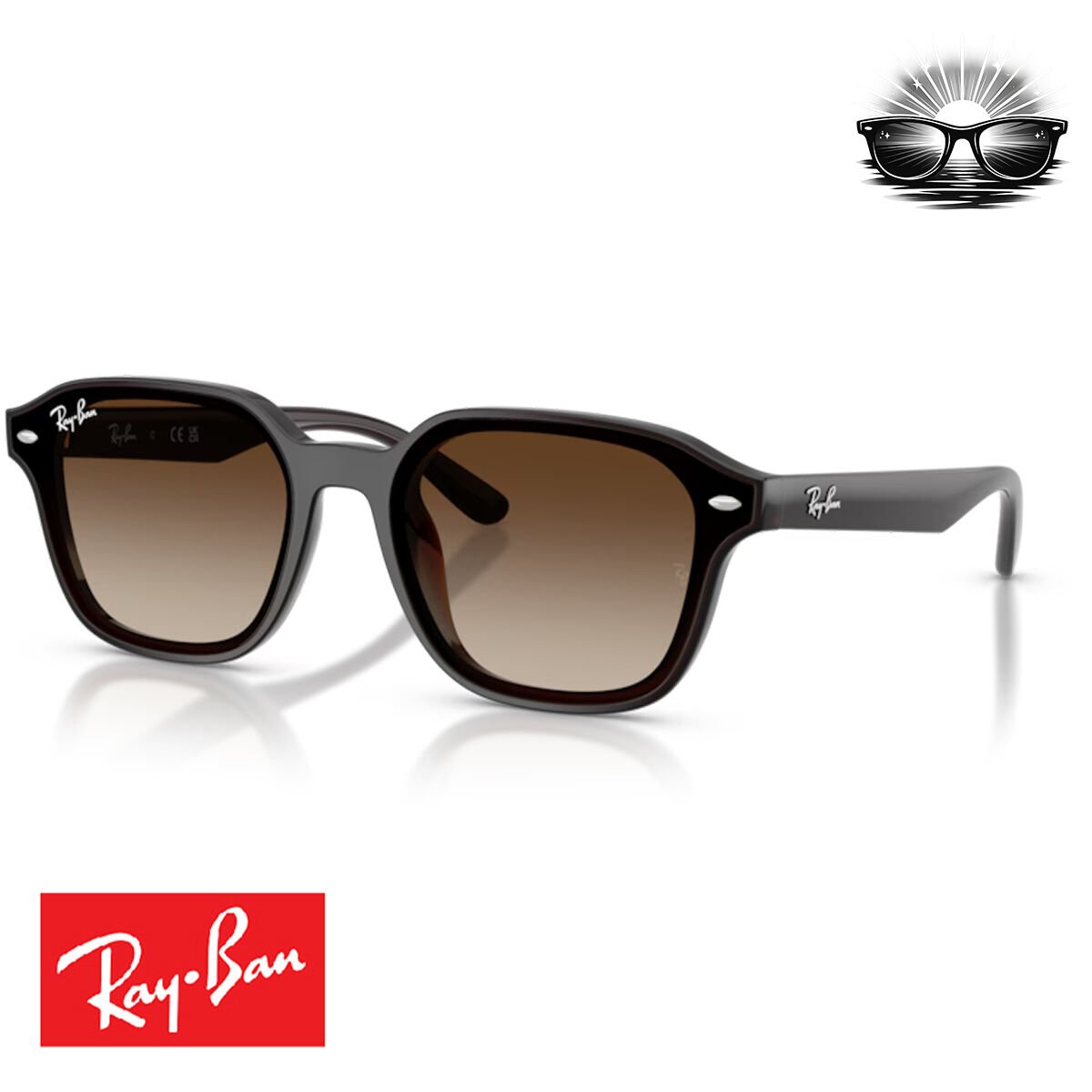 Ray-Ban RB4458D 714/13 Şeffaf Koyu Kahverengi Gradient Güneş Gözlüğü