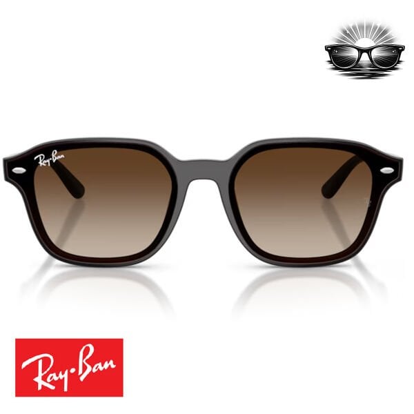 Ray-Ban RB4458D 714/13 Şeffaf Koyu Kahverengi Gradient Güneş Gözlüğü