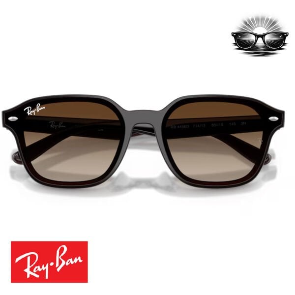 Ray-Ban RB4458D 714/13 Şeffaf Koyu Kahverengi Gradient Güneş Gözlüğü