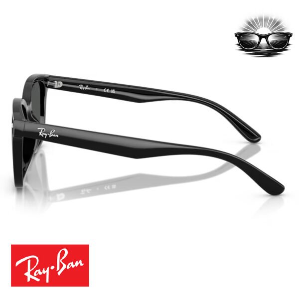 Ray-Ban RB4461D 601/87 Siyah Koyu Gri Cam Güneş Gözlüğü