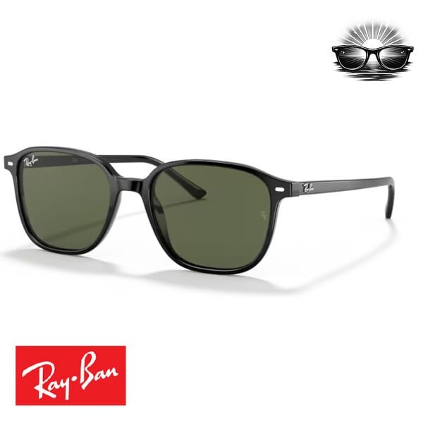 Ray-Ban RB2193 Leonard 901/31 Siyah G-15 Yeşil Güneş Gözlüğü