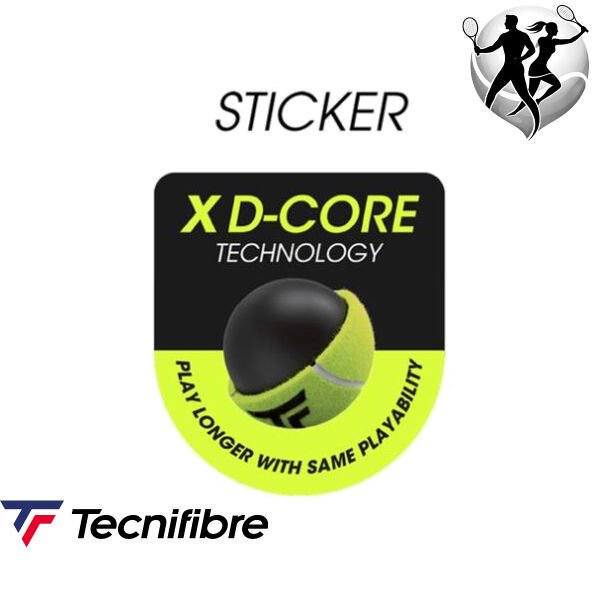 Tecnifibre Club PET Tenis Topu – 3’lü Kutu